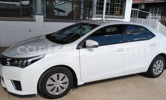 Buy Used Toyota Corolla White Car in Mbabane in Manzini Buy Used Toyota Corolla White Car in Mbabane in Manzini