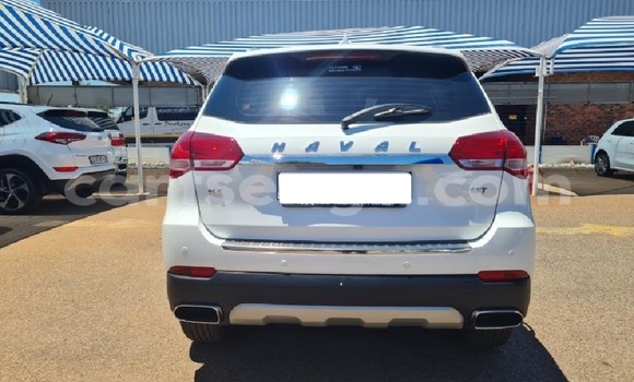 Nunua Ilio tumika Haval H2 White Gari ndani ya Big Bend nchini Lubombo Nunua Ilio tumika Haval H2 White Gari ndani ya Big Bend nchini Lubombo