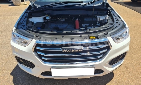 Nunua Ilio tumika Haval H2 White Gari ndani ya Big Bend nchini Lubombo Nunua Ilio tumika Haval H2 White Gari ndani ya Big Bend nchini Lubombo