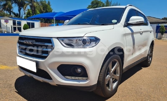 Nunua Ilio tumika Haval H2 White Gari ndani ya Big Bend nchini Lubombo Nunua Ilio tumika Haval H2 White Gari ndani ya Big Bend nchini Lubombo