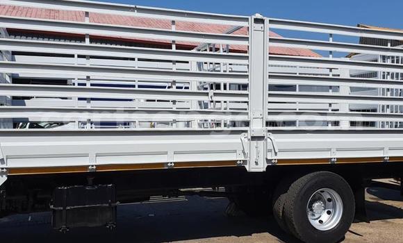 Acheter Occasion Utilitaire Isuzu FTR 850 Blanc à Mbabane, Manzini Acheter Occasion Utilitaire Isuzu FTR 850 Blanc à Mbabane, Manzini