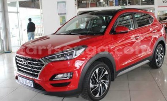 Nunua Ilio tumika Hyundai Tucson Red Gari ndani ya Manzini nchini Manzini Nunua Ilio tumika Hyundai Tucson Red Gari ndani ya Manzini nchini Manzini