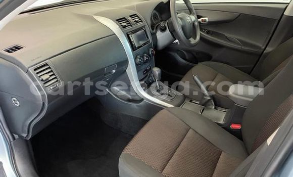 Nunua Ilio tumika Toyota Corolla Blue Gari ndani ya Big Bend nchini Lubombo Nunua Ilio tumika Toyota Corolla Blue Gari ndani ya Big Bend nchini Lubombo