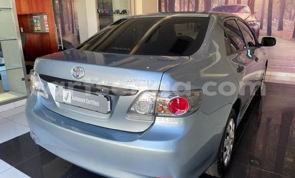 Nunua Ilio tumika Toyota Corolla Blue Gari ndani ya Big Bend nchini Lubombo Nunua Ilio tumika Toyota Corolla Blue Gari ndani ya Big Bend nchini Lubombo