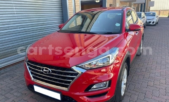 Buy Used Hyundai Tucson Red Car in Big Bend in Lubombo