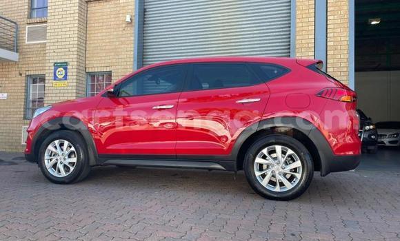 Acheter Occasion Voiture Hyundai Tucson Rouge à Big Bend, Lubombo Acheter Occasion Voiture Hyundai Tucson Rouge à Big Bend, Lubombo