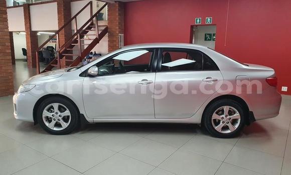 Acheter Occasion Voiture Toyota Corolla Gris à Big Bend, Lubombo Acheter Occasion Voiture Toyota Corolla Gris à Big Bend, Lubombo