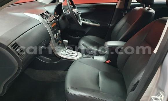 Acheter Occasion Voiture Toyota Corolla Gris à Big Bend, Lubombo Acheter Occasion Voiture Toyota Corolla Gris à Big Bend, Lubombo