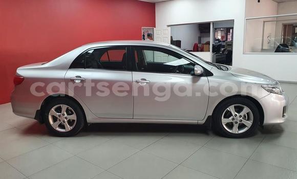 Acheter Occasion Voiture Toyota Corolla Gris à Big Bend, Lubombo Acheter Occasion Voiture Toyota Corolla Gris à Big Bend, Lubombo