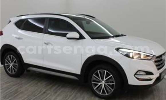 Buy Used Kia Sportage Silver Car in Import - Dubai in Hhohho Buy Used Kia Sportage Silver Car in Import - Dubai in Hhohho