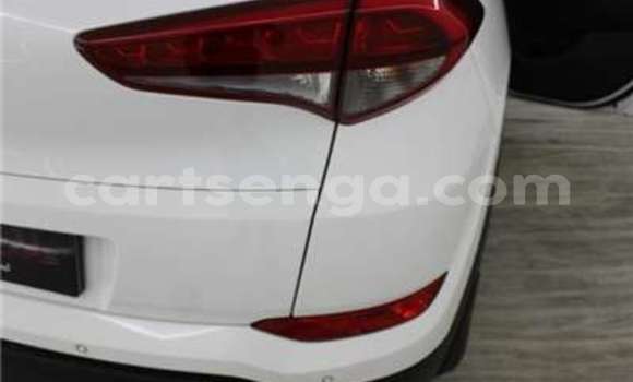 Buy Used Kia Sportage Silver Car in Import - Dubai in Hhohho Buy Used Kia Sportage Silver Car in Import - Dubai in Hhohho