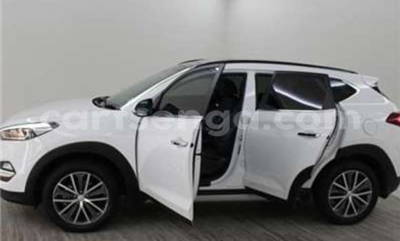 Buy Used Kia Sportage Silver Car in Import - Dubai in Hhohho Buy Used Kia Sportage Silver Car in Import - Dubai in Hhohho