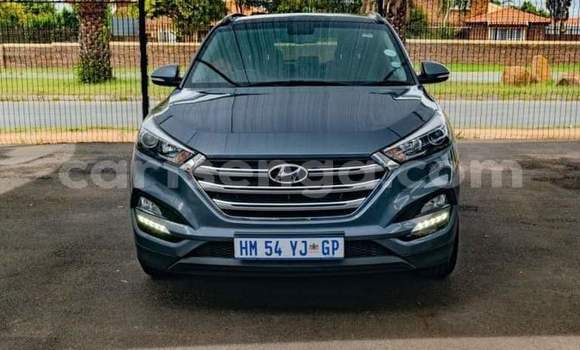 Buy Used Hyundai Tucson Blue Car in Big Bend in Lubombo