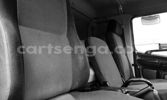 Acheter Occasion Utilitaire Hino 300 Series Autre à Big Bend, Lubombo District Acheter Occasion Utilitaire Hino 300 Series Autre à Big Bend, Lubombo District