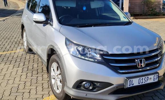 Acheter Occasion Voiture Honda CR–V Gris à Hlatikulu, Shiselweni District Acheter Occasion Voiture Honda CR–V Gris à Hlatikulu, Shiselweni District