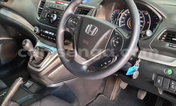 Acheter Occasion Voiture Honda CR–V Gris à Hlatikulu, Shiselweni District Acheter Occasion Voiture Honda CR–V Gris à Hlatikulu, Shiselweni District