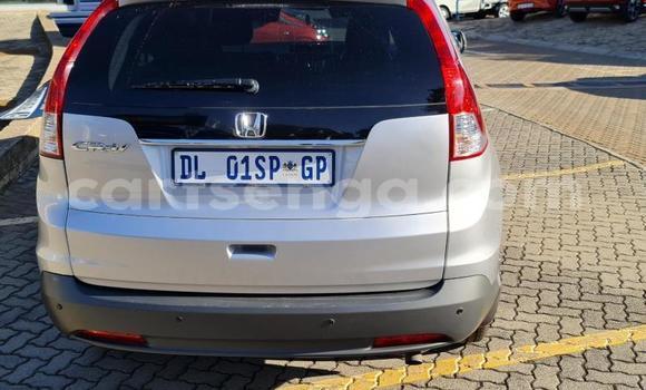 Acheter Occasion Voiture Honda CR–V Gris à Hlatikulu, Shiselweni District Acheter Occasion Voiture Honda CR–V Gris à Hlatikulu, Shiselweni District
