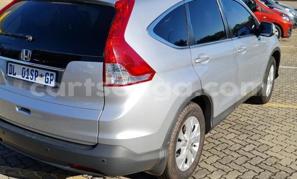 Acheter Occasion Voiture Honda CR–V Gris à Hlatikulu, Shiselweni District Acheter Occasion Voiture Honda CR–V Gris à Hlatikulu, Shiselweni District
