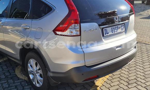 Acheter Occasion Voiture Honda CR–V Gris à Hlatikulu, Shiselweni District Acheter Occasion Voiture Honda CR–V Gris à Hlatikulu, Shiselweni District