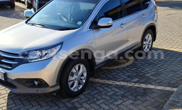 Acheter Occasion Voiture Honda CR–V Gris à Hlatikulu, Shiselweni District Acheter Occasion Voiture Honda CR–V Gris à Hlatikulu, Shiselweni District