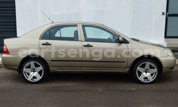 Acheter Occasion Voiture Toyota Corolla Gris à Ezulwini, Hhohho Acheter Occasion Voiture Toyota Corolla Gris à Ezulwini, Hhohho