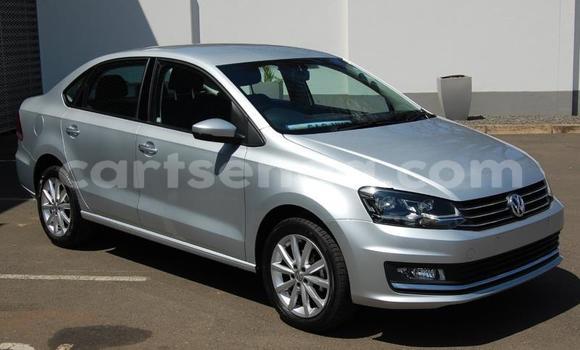 Buy Used Volkswagen Polo Silver Car in Mbabane in Manzini Buy Used Volkswagen Polo Silver Car in Mbabane in Manzini