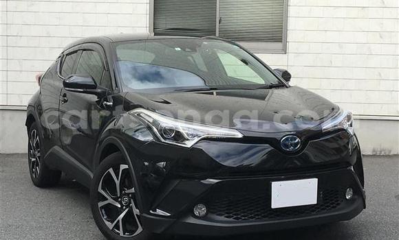 Buy Import Toyota C-HR Black Car in Mbabane in Manzini