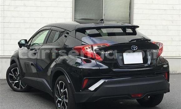 Buy Import Toyota C-HR Black Car in Mbabane in Manzini Buy Import Toyota C-HR Black Car in Mbabane in Manzini