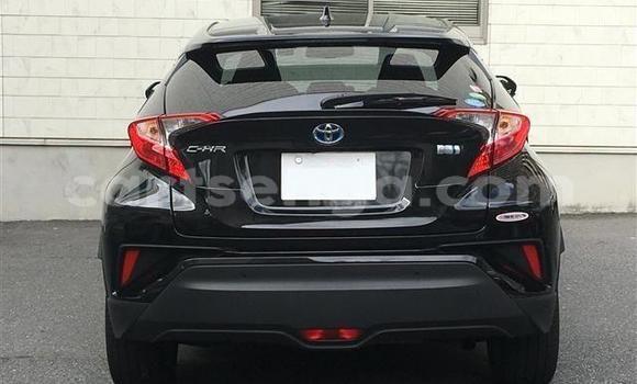 Buy Import Toyota C-HR Black Car in Mbabane in Manzini Buy Import Toyota C-HR Black Car in Mbabane in Manzini
