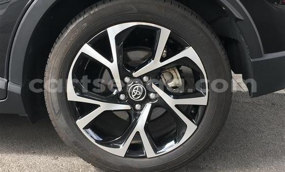 Buy Import Toyota C-HR Black Car in Mbabane in Manzini Buy Import Toyota C-HR Black Car in Mbabane in Manzini