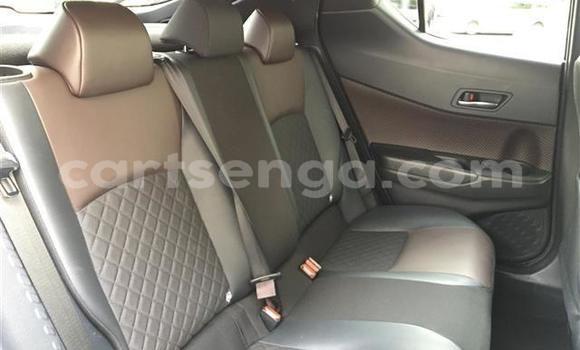 Buy Import Toyota C-HR Black Car in Mbabane in Manzini Buy Import Toyota C-HR Black Car in Mbabane in Manzini