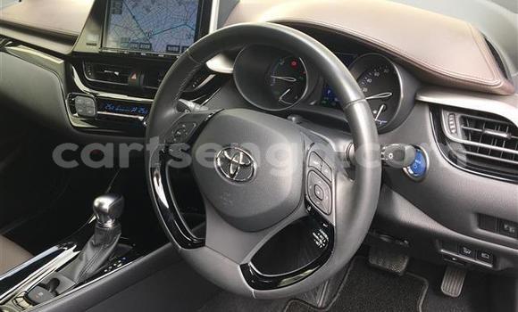 Buy Import Toyota C-HR Black Car in Mbabane in Manzini Buy Import Toyota C-HR Black Car in Mbabane in Manzini
