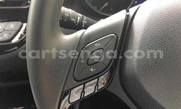 Buy Import Toyota C-HR Black Car in Mbabane in Manzini Buy Import Toyota C-HR Black Car in Mbabane in Manzini