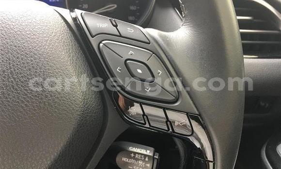 Buy Import Toyota C-HR Black Car in Mbabane in Manzini Buy Import Toyota C-HR Black Car in Mbabane in Manzini