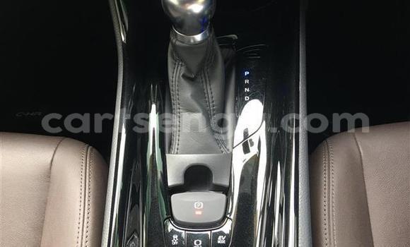 Buy Import Toyota C-HR Black Car in Mbabane in Manzini Buy Import Toyota C-HR Black Car in Mbabane in Manzini