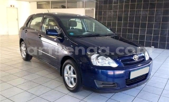 Buy Used Toyota Runx Blue Car in Ezulwini in Hhohho Buy Used Toyota Runx Blue Car in Ezulwini in Hhohho