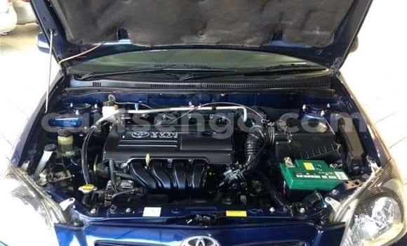 Acheter Occasion Voiture Toyota Runx Bleu à Ezulwini, Hhohho Acheter Occasion Voiture Toyota Runx Bleu à Ezulwini, Hhohho