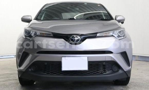 Buy Import Toyota C-HR Other Car in Mbabane in Manzini Buy Import Toyota C-HR Other Car in Mbabane in Manzini