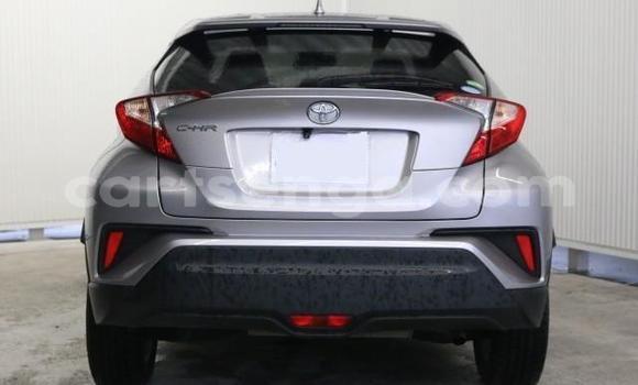 Buy Import Toyota C-HR Other Car in Mbabane in Manzini Buy Import Toyota C-HR Other Car in Mbabane in Manzini