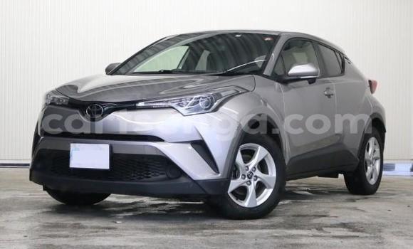 Buy Import Toyota C-HR Other Car in Mbabane in Manzini Buy Import Toyota C-HR Other Car in Mbabane in Manzini