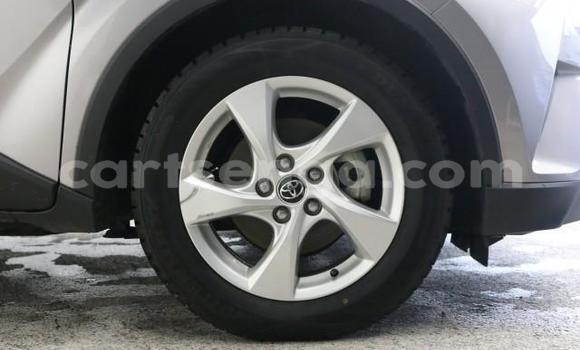 Buy Import Toyota C-HR Other Car in Mbabane in Manzini Buy Import Toyota C-HR Other Car in Mbabane in Manzini