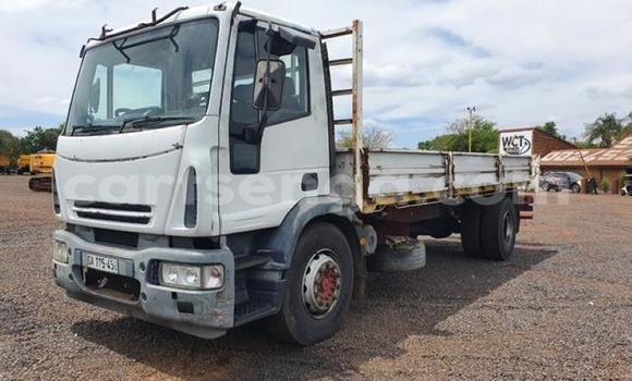 Medium with watermark iveco cargo lubombo district big bend 24365