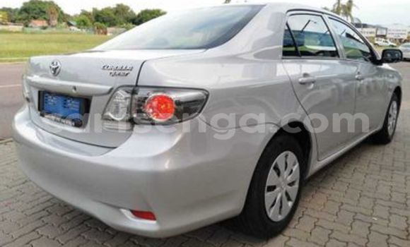 Acheter Occasion Voiture Toyota Corolla Gris à Ezulwini, Hhohho Acheter Occasion Voiture Toyota Corolla Gris à Ezulwini, Hhohho