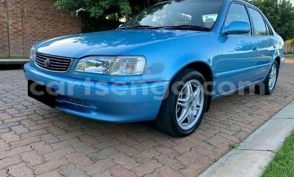 Buy Used Toyota Corolla Blue Car in Ezulwini in Hhohho Buy Used Toyota Corolla Blue Car in Ezulwini in Hhohho