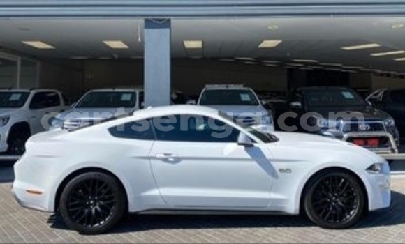 Buy Used Ford Mustang White Car in Ezulwini in Hhohho Buy Used Ford Mustang White Car in Ezulwini in Hhohho