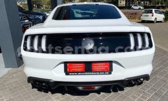 Buy Used Ford Mustang White Car in Ezulwini in Hhohho Buy Used Ford Mustang White Car in Ezulwini in Hhohho