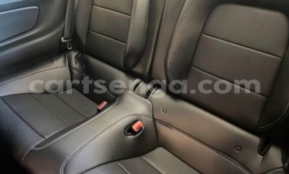 Buy Used Ford Mustang White Car in Ezulwini in Hhohho Buy Used Ford Mustang White Car in Ezulwini in Hhohho