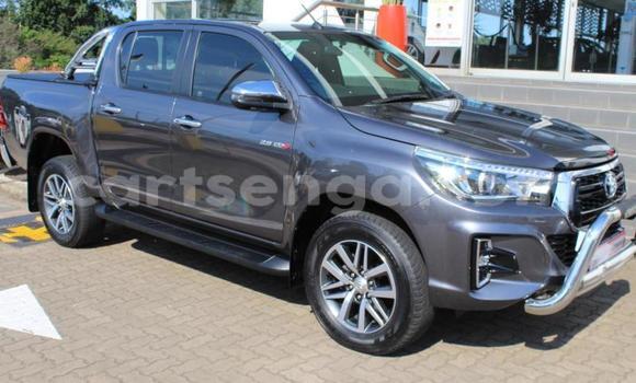 Acheter Occasion Voiture Toyota Hilux Gris à Ezulwini, Hhohho
