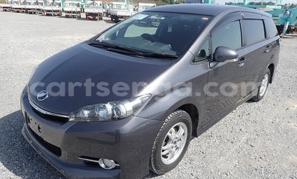 Nunua Ilio tumika Toyota Wish Silver Gari ndani ya Hlatikulu nchini Wilaya ya Shiselweni
