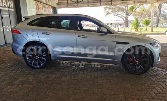 Acheter Occasion Voiture Jaguar F-Pace Blanc à Mbabane, Manzini Acheter Occasion Voiture Jaguar F-Pace Blanc à Mbabane, Manzini